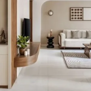 Sleek Living Room with Stylish Divider