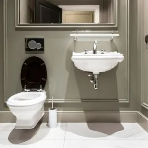 Wall-Hung Toilet with Marble Finish