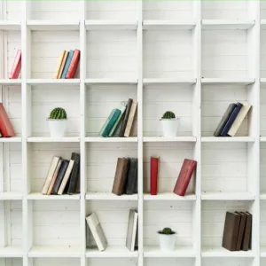 Contemporary Bookcase with Arches