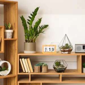 Contemporary Wardrobe with Shelf