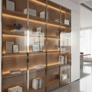 Sleek Storage with Backlit Shelves and Glass Doors